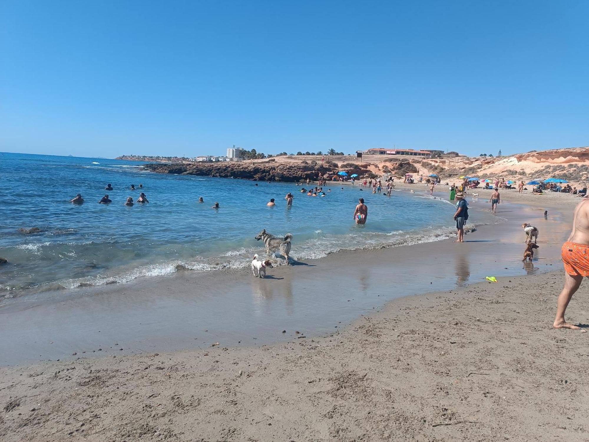 La Campana Apartman Dehesa de Campoamor  Kültér fotó